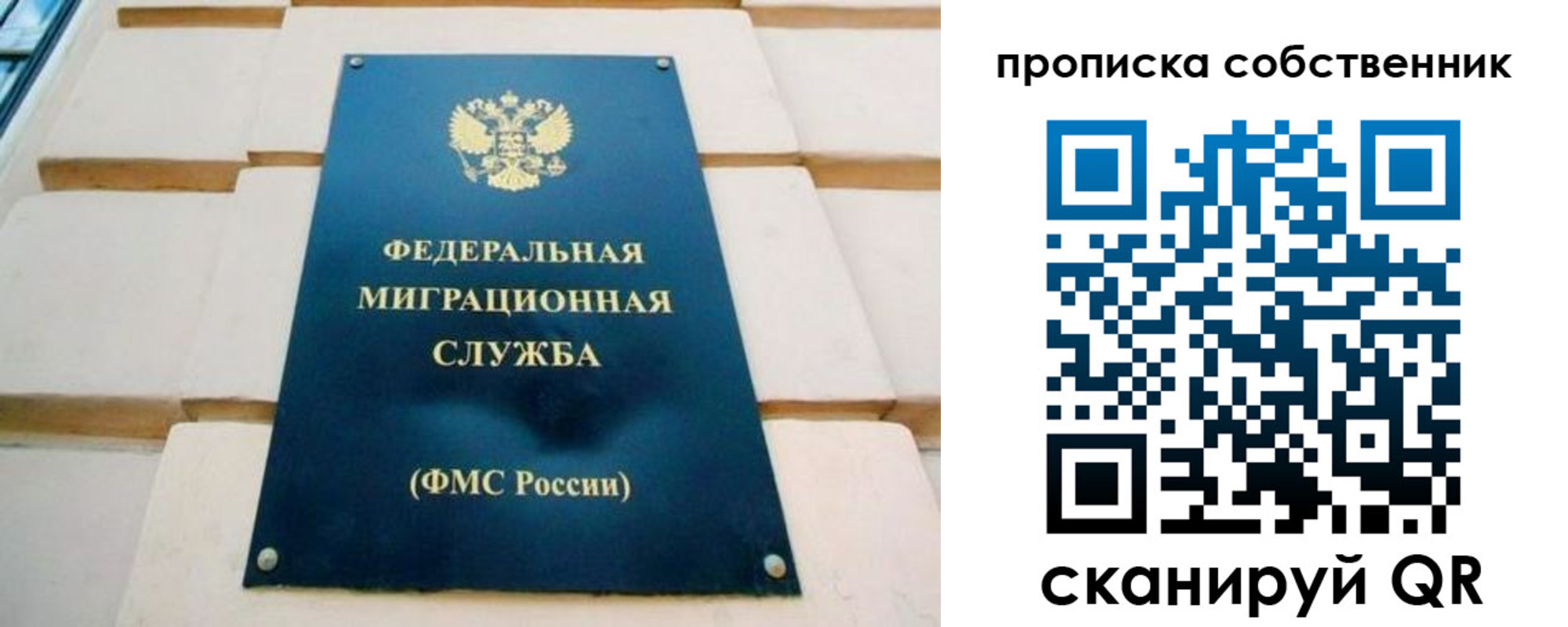 найти адрес прописки в Ногинске